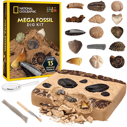 NATIONAL GEOGRAPHIC Mega Fossil Dig Kit