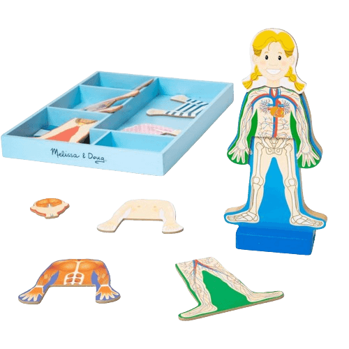 Melissa & Doug Magnetic Human Body Anatomy Play Set: