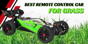 Best Remote Control Car For Grass